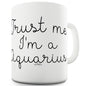 Trust Me I'm An Aquarius Funny Mugs For Work