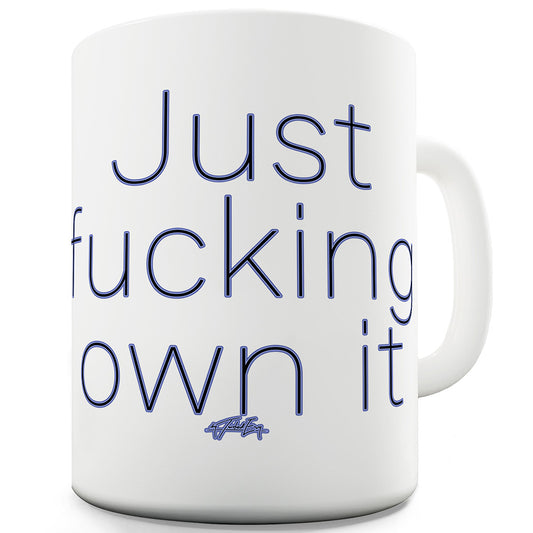 Just F-cking Own It Funny Mugs For Men