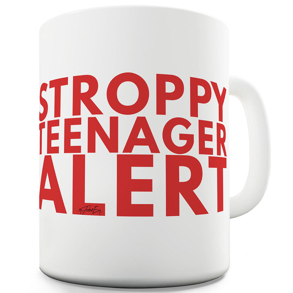 Stroppy Teenager Alert Funny Novelty Mug Cup